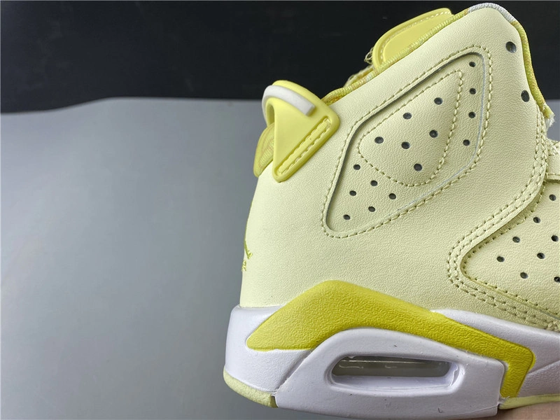 Air Jordan 6    543390-800