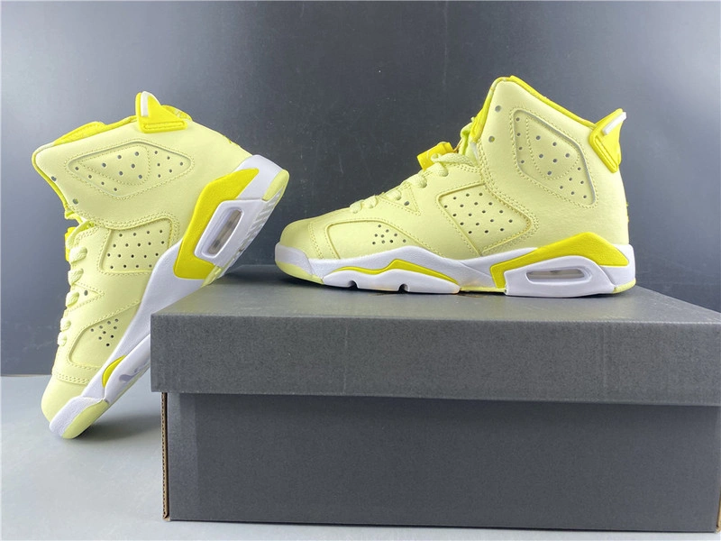 Air Jordan 6    543390-800