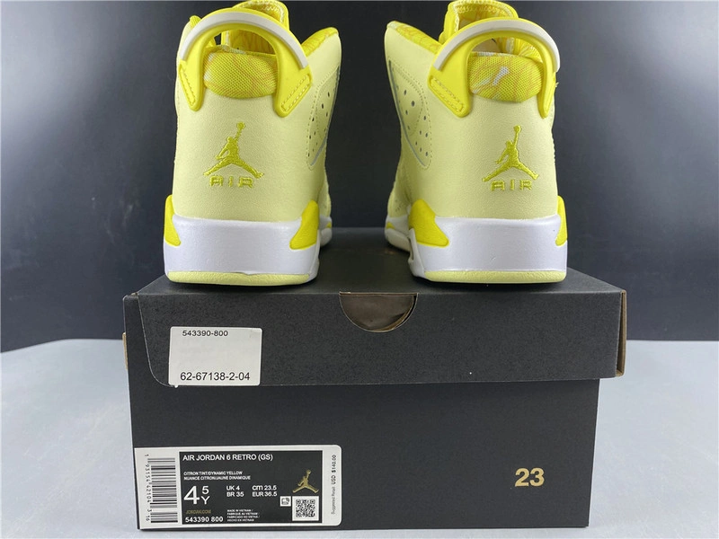 Air Jordan 6    543390-800