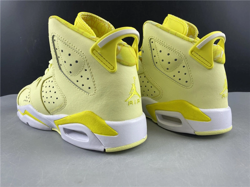 Air Jordan 6    543390-800