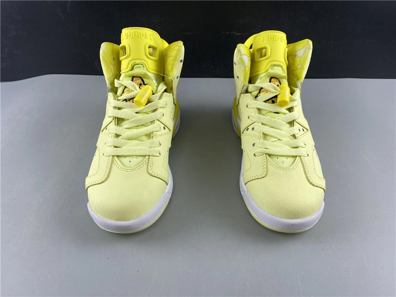 Air Jordan 6    543390-800