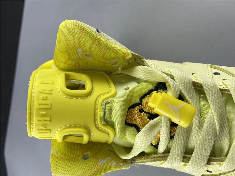 Air Jordan 6    543390-800