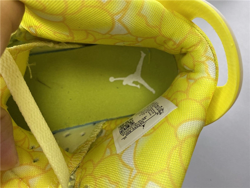 Air Jordan 6    543390-800