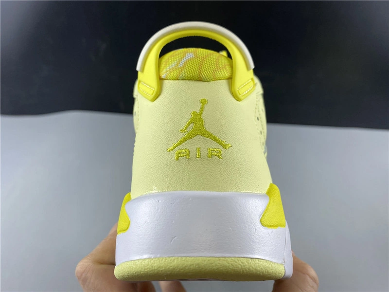 Air Jordan 6    543390-800
