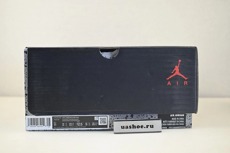 Air Jordan 6  