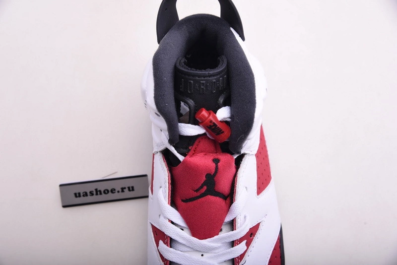 Air Jordan 6  CT8529-106
