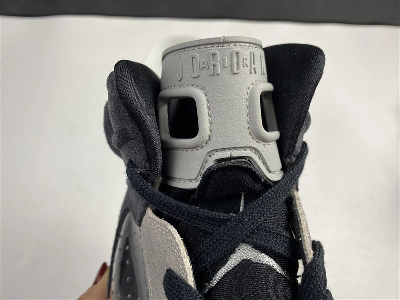 Air Jordan 6  “Tech Chrome