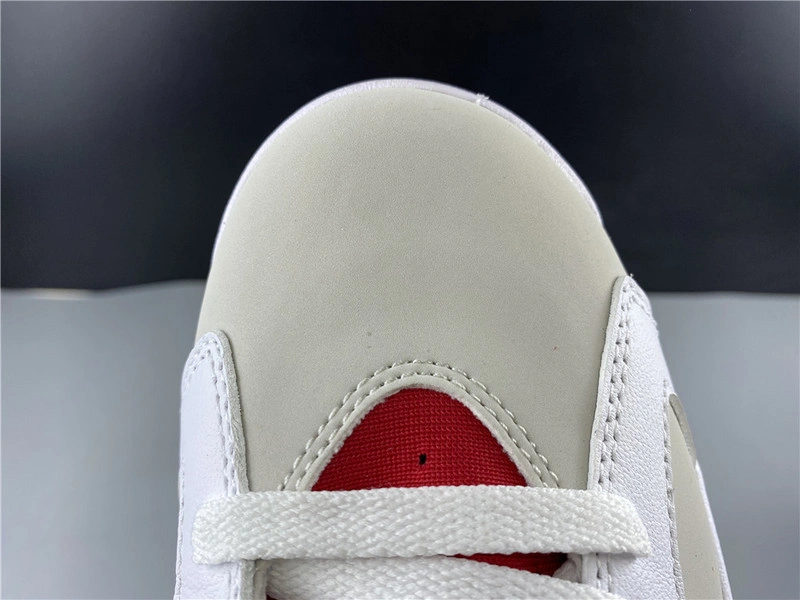 Air Jordan 6 CT8529-062
