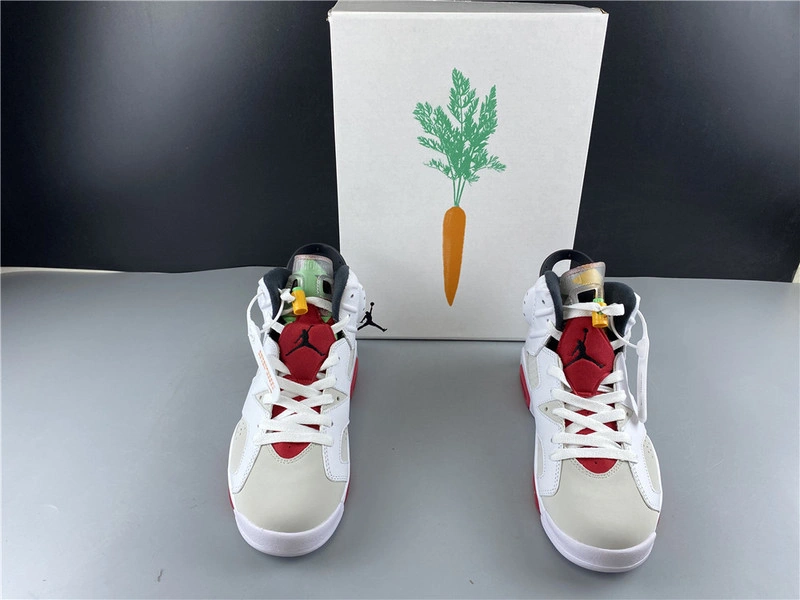 Air Jordan 6 CT8529-062