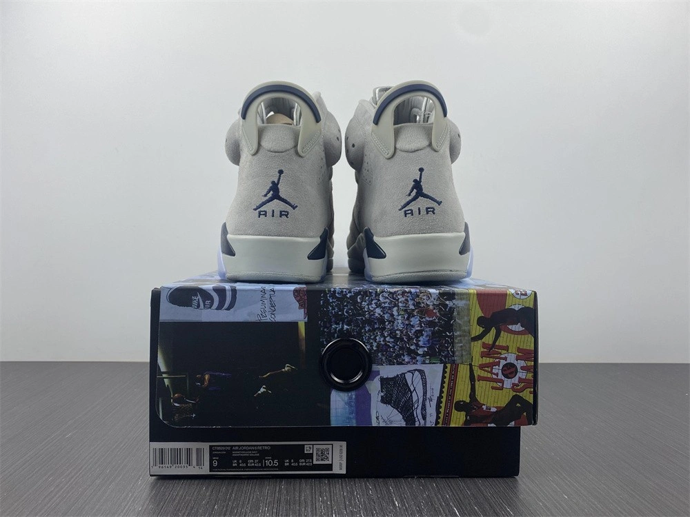 Air Jordan 6 