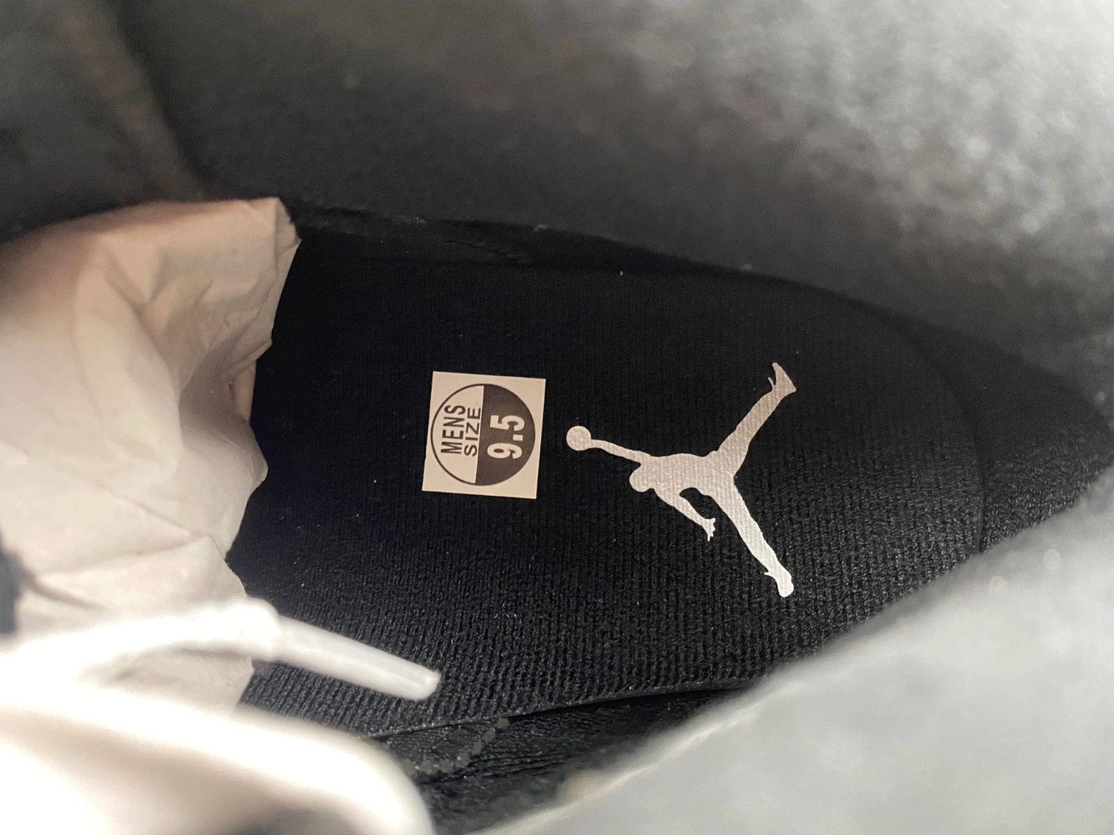 Air Jordan 6 
