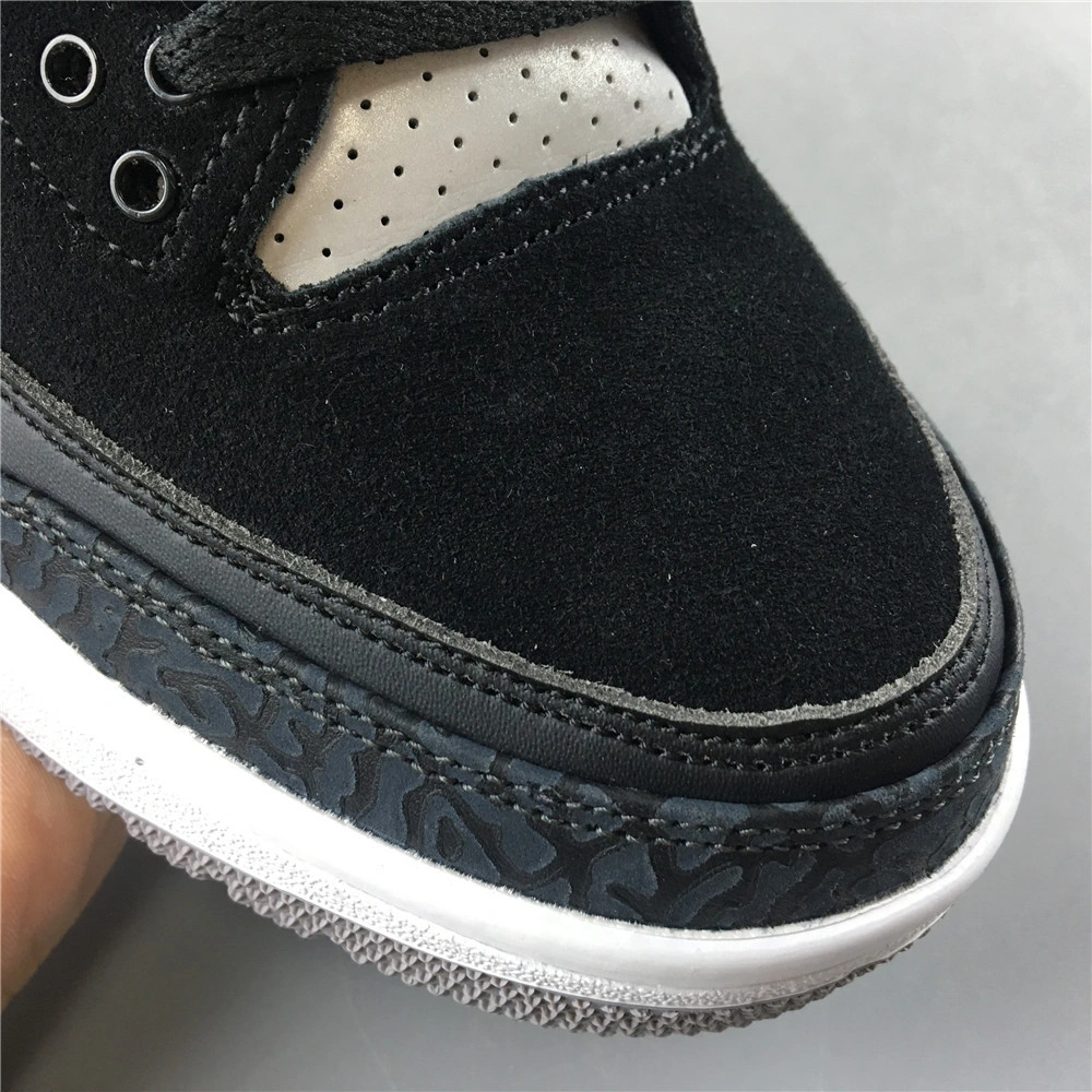 Air Jordan3 RETRO TH  4348-007
