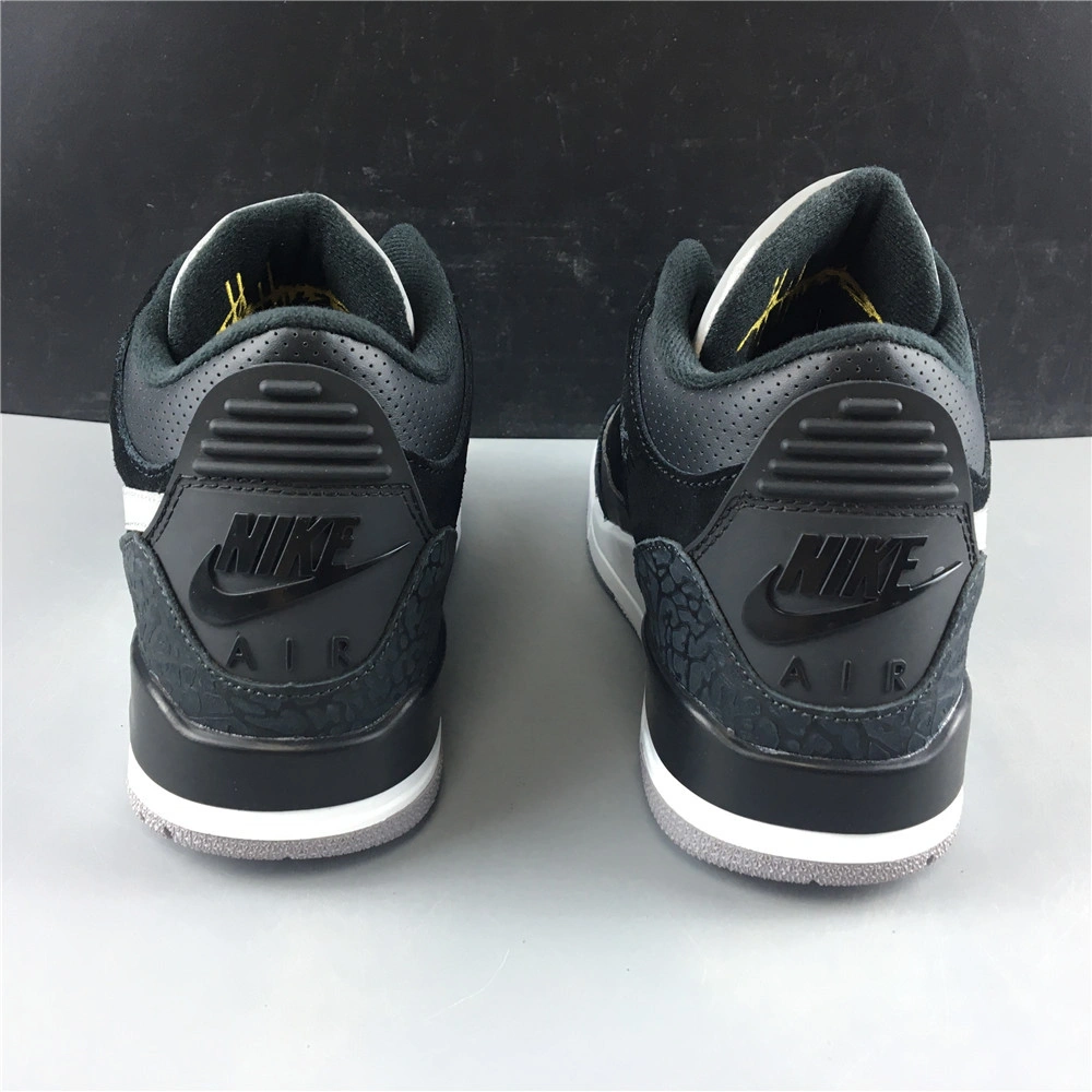 Air Jordan3 RETRO TH  4348-007