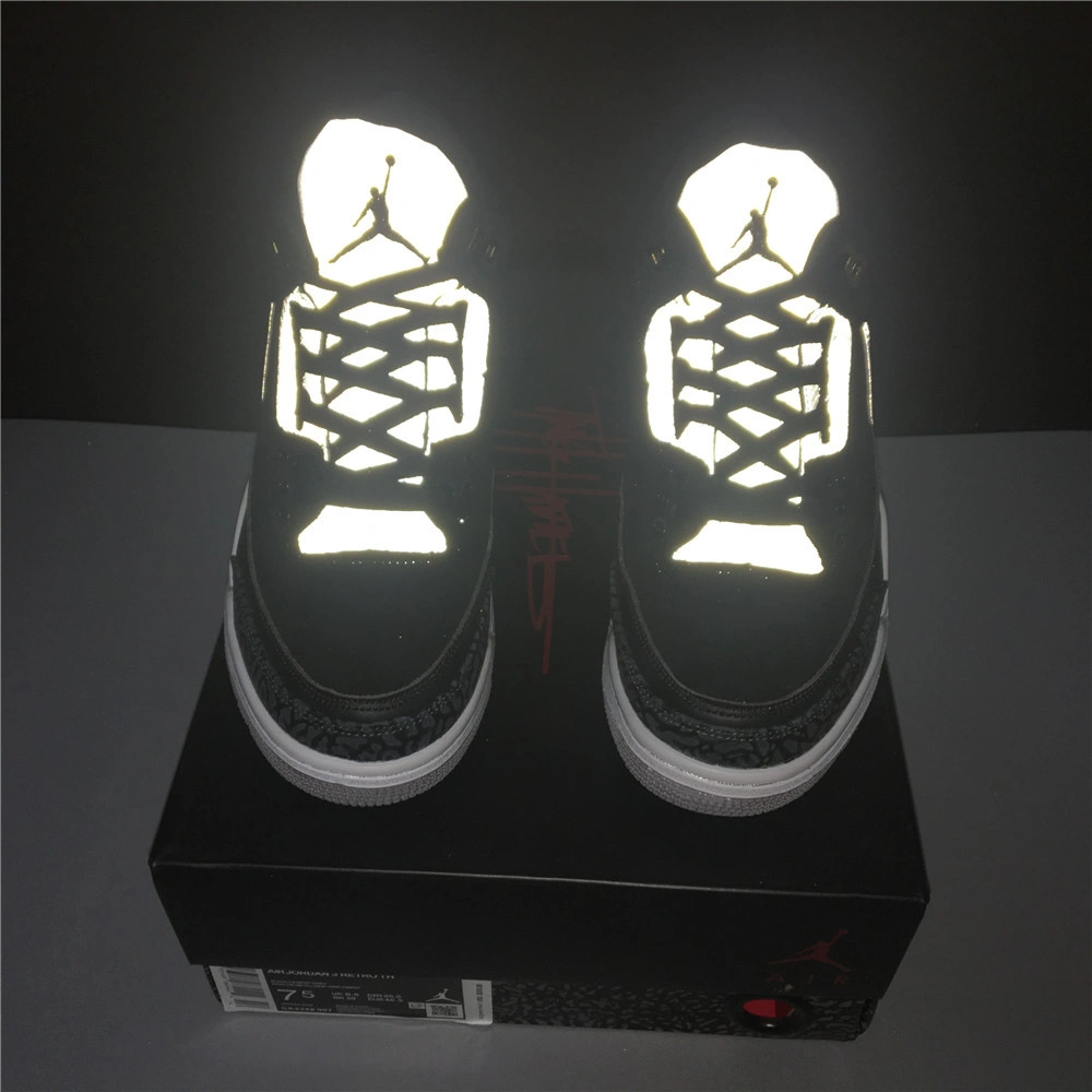Air Jordan3 RETRO TH  4348-007