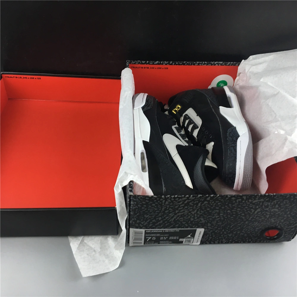 Air Jordan3 RETRO TH  4348-007