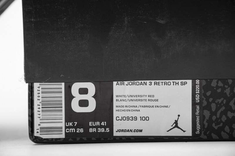 Air Jordan3 RETRO TH SP  CJ0939-100
