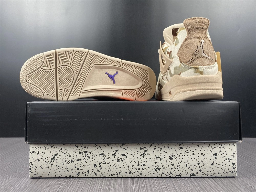 Aleali May x Air Jordan 4 “Camo”   DJ1193-200