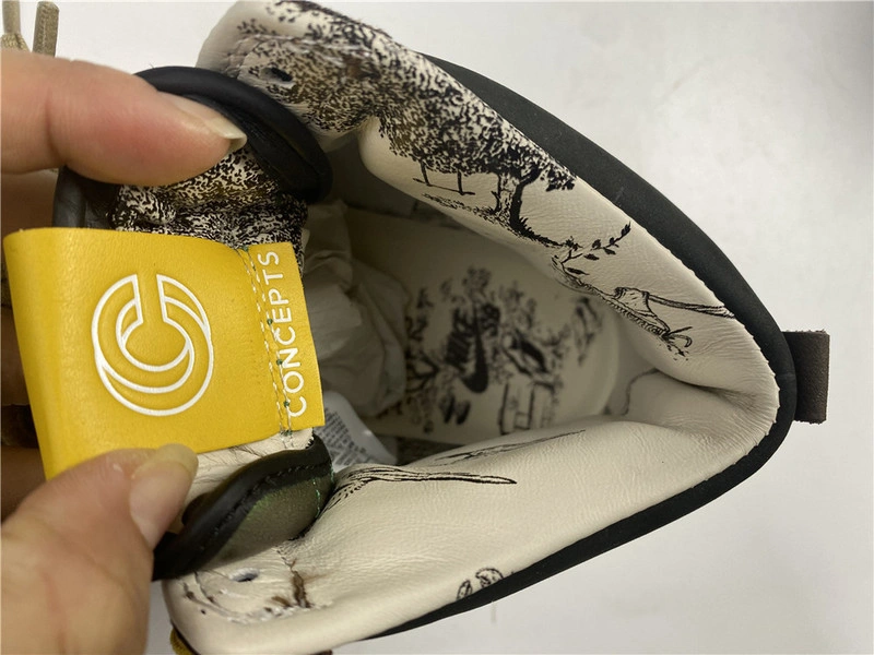 Concepts x Nike SB Duck HIgh Pro QS 