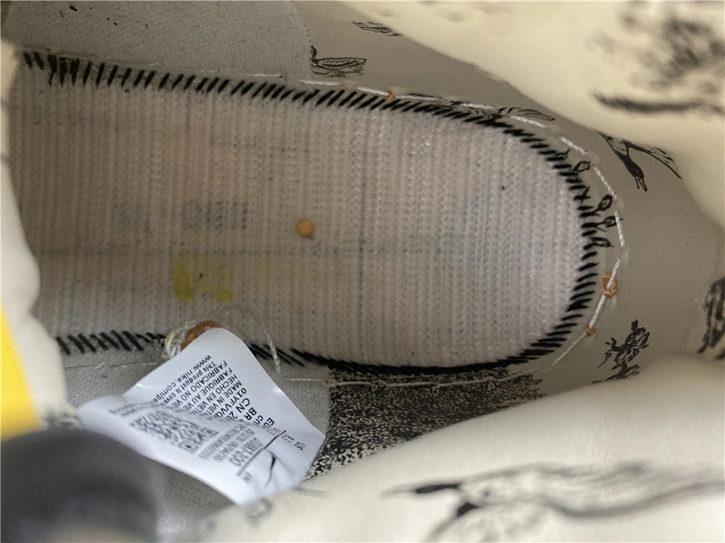 Concepts x Nike SB Duck HIgh Pro QS 