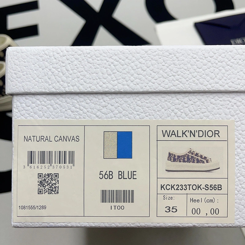 DIOR WALK'N' PLATFORM SNEAKER