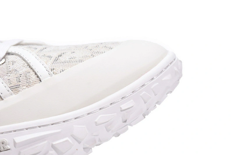 DIORIZON ANKLE BOOT