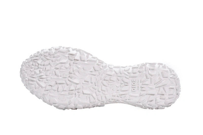 DIORIZON ANKLE BOOT