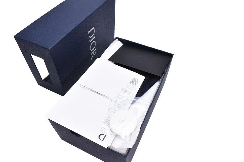 DIORIZON ANKLE BOOT