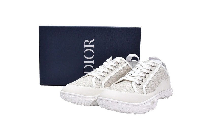 DIORIZON ANKLE BOOT