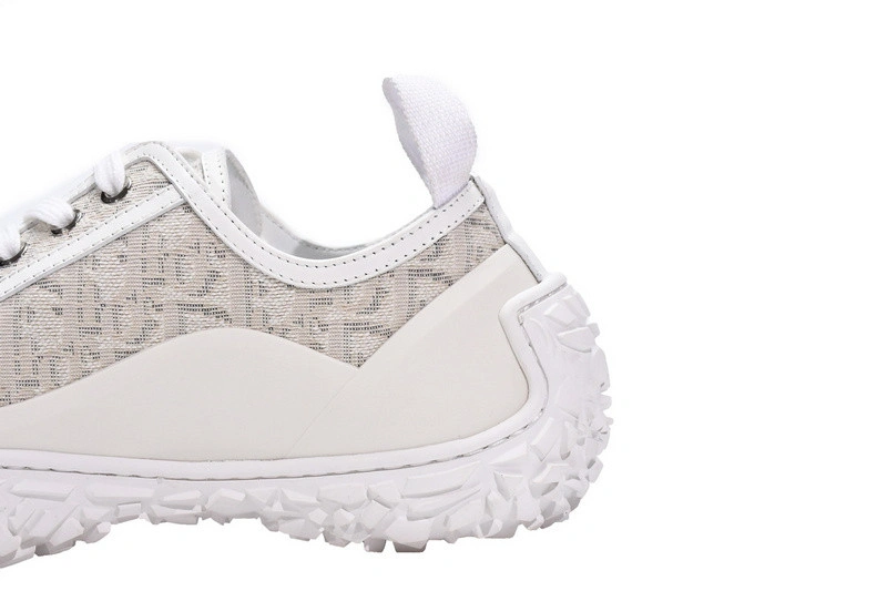DIORIZON ANKLE BOOT