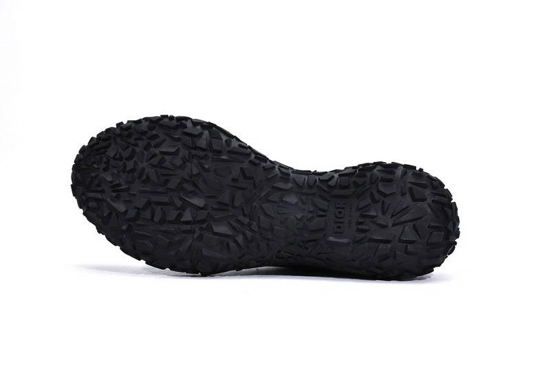 DIORIZON ANKLE BOOT
