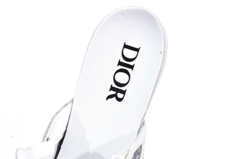 DIORIZON ANKLE BOOT