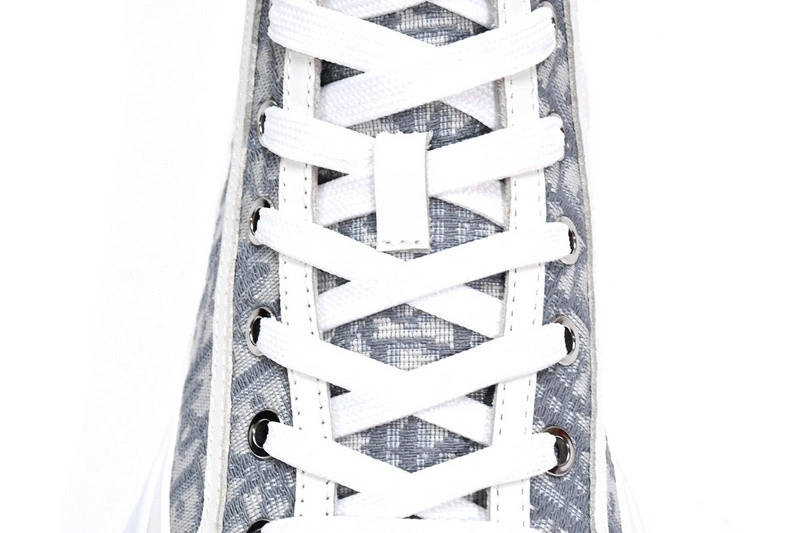 DIORIZON ANKLE BOOT