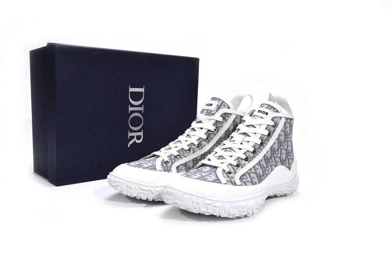 DIORIZON ANKLE BOOT