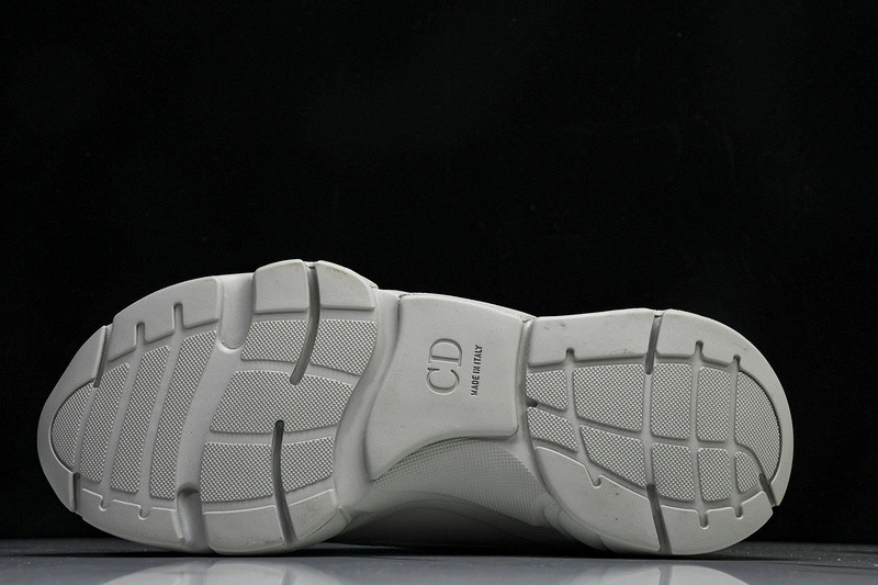 Dior B22  SNEAKER