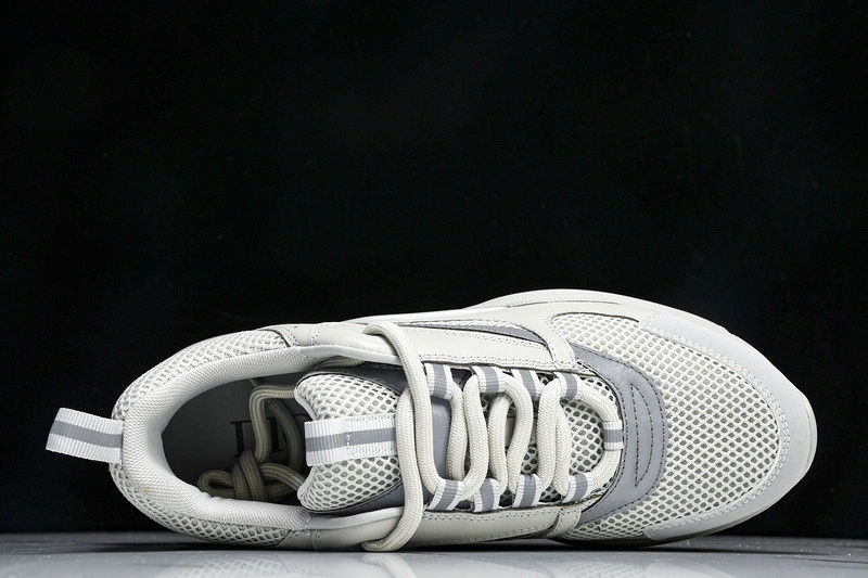 Dior B22  SNEAKER