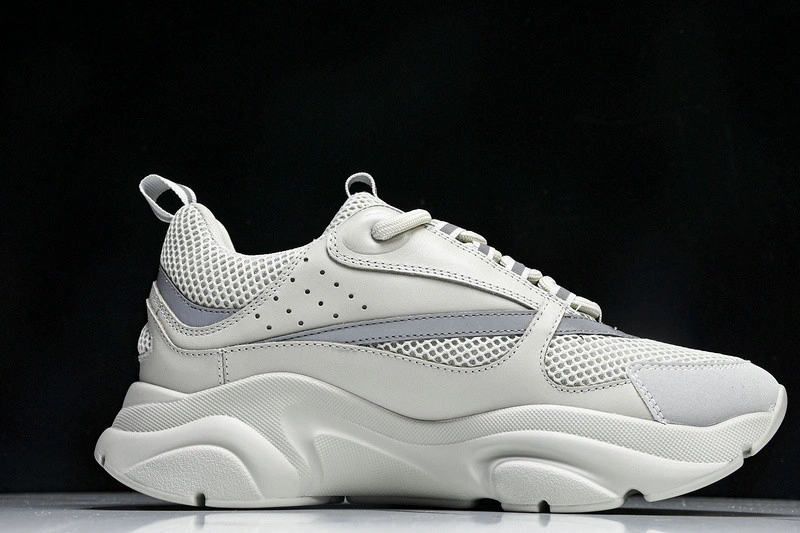Dior B22  SNEAKER