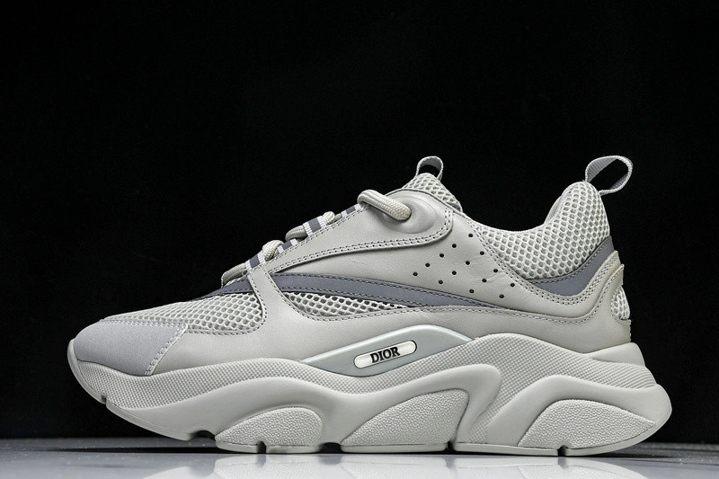 Dior B22  SNEAKER