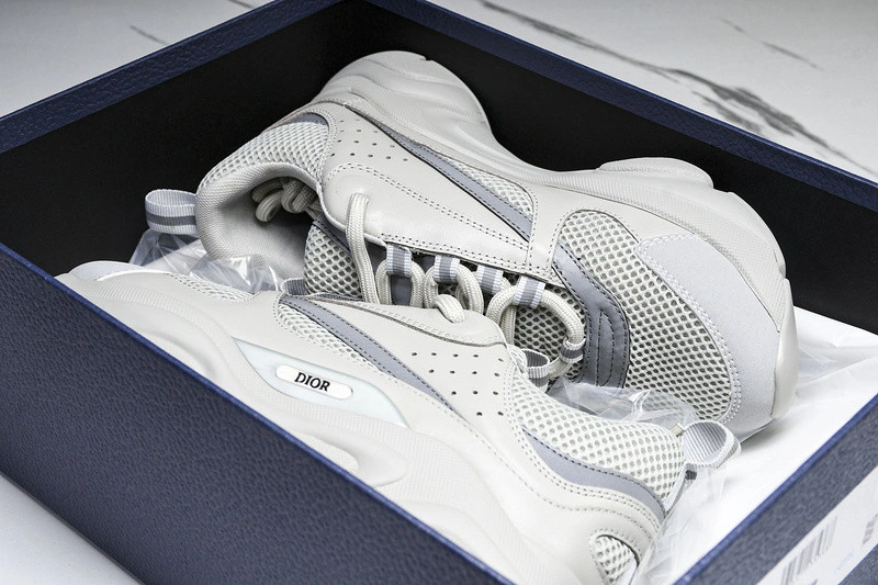 Dior B22  SNEAKER