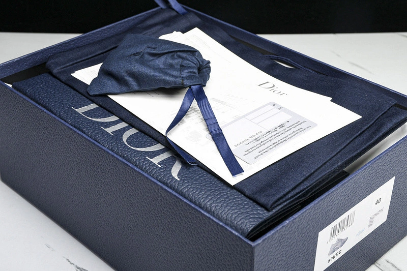 Dior B22  SNEAKER