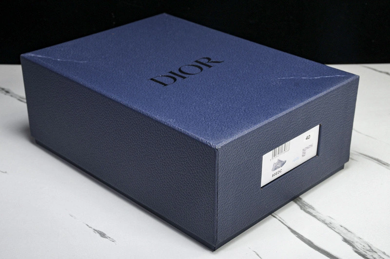 Dior B22  SNEAKER