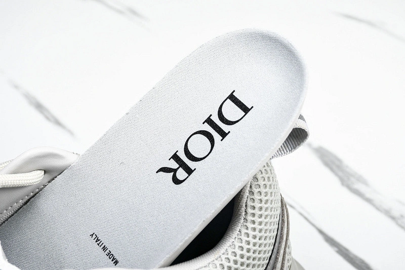 Dior B22  SNEAKER