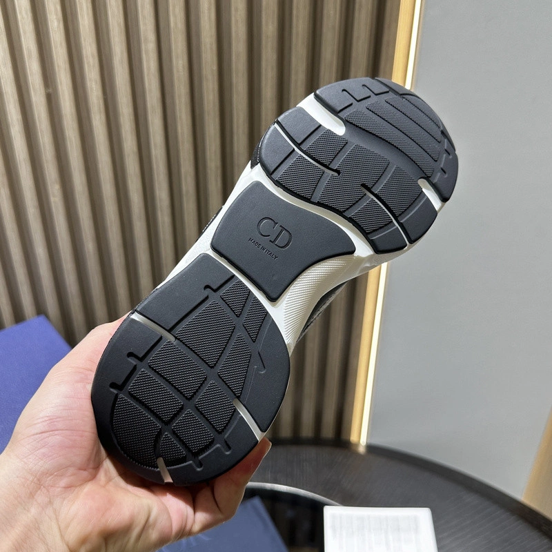 Dior B22 SNEAKER