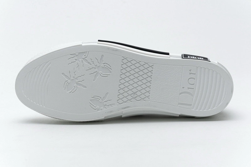 Dior B23 Oblique  Low Sneaker