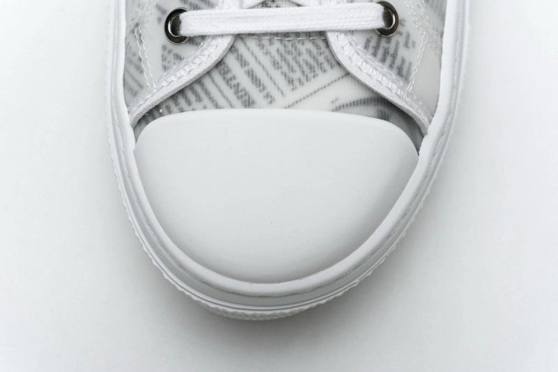 Dior B23 Oblique  Low Sneaker