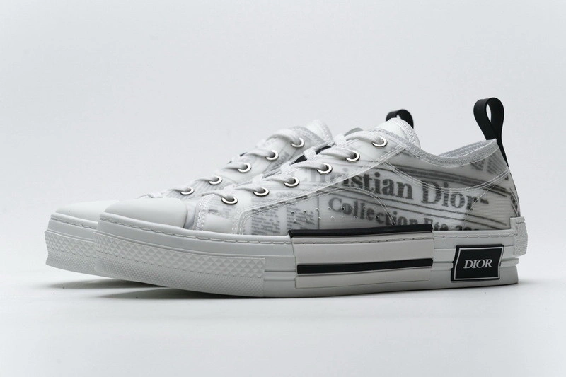 Dior B23 Oblique  Low Sneaker
