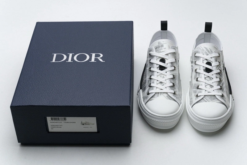 Dior B23 Oblique  Low Sneaker