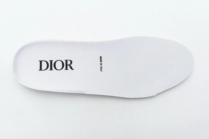 Dior B23 Oblique  Low Sneaker