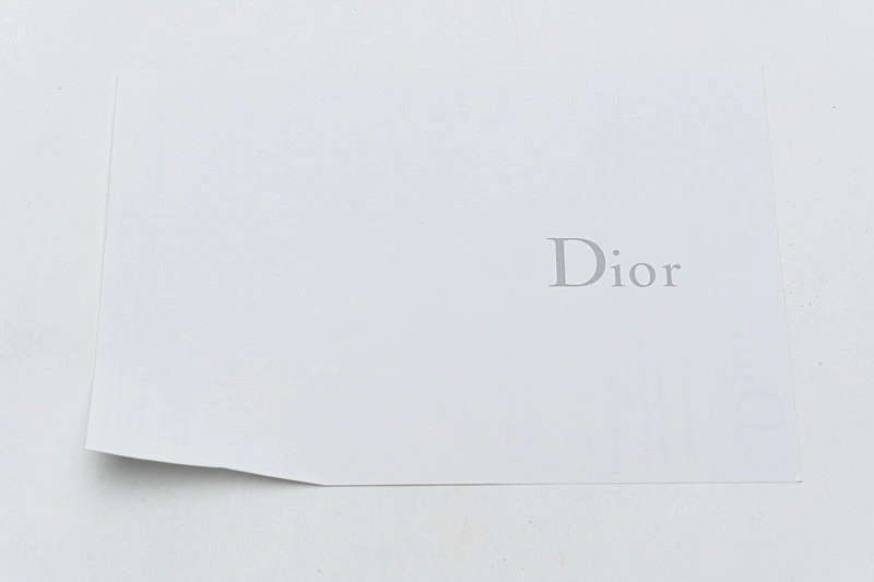 Dior B23 Oblique  Low Sneaker