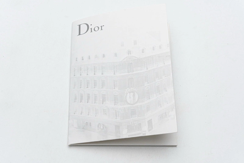Dior B23 Oblique  Low Sneaker