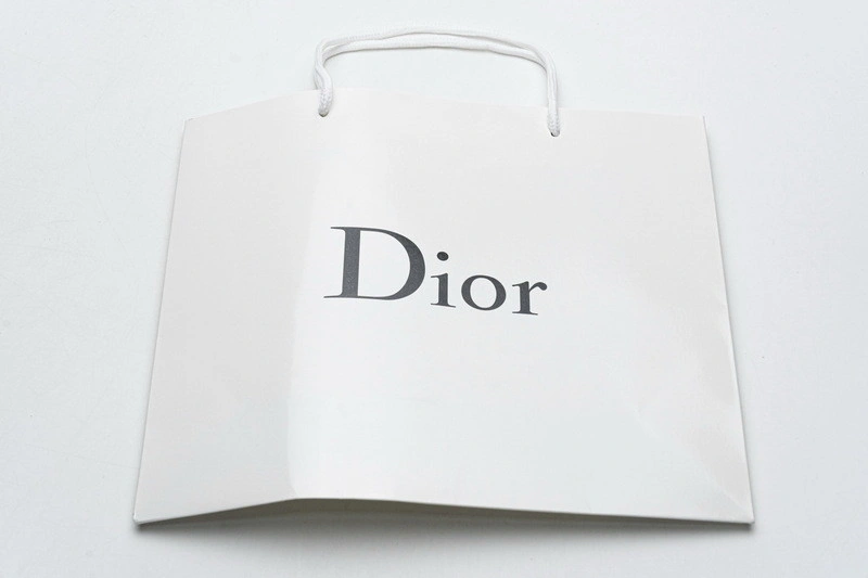 Dior B23 Oblique  Low Sneaker